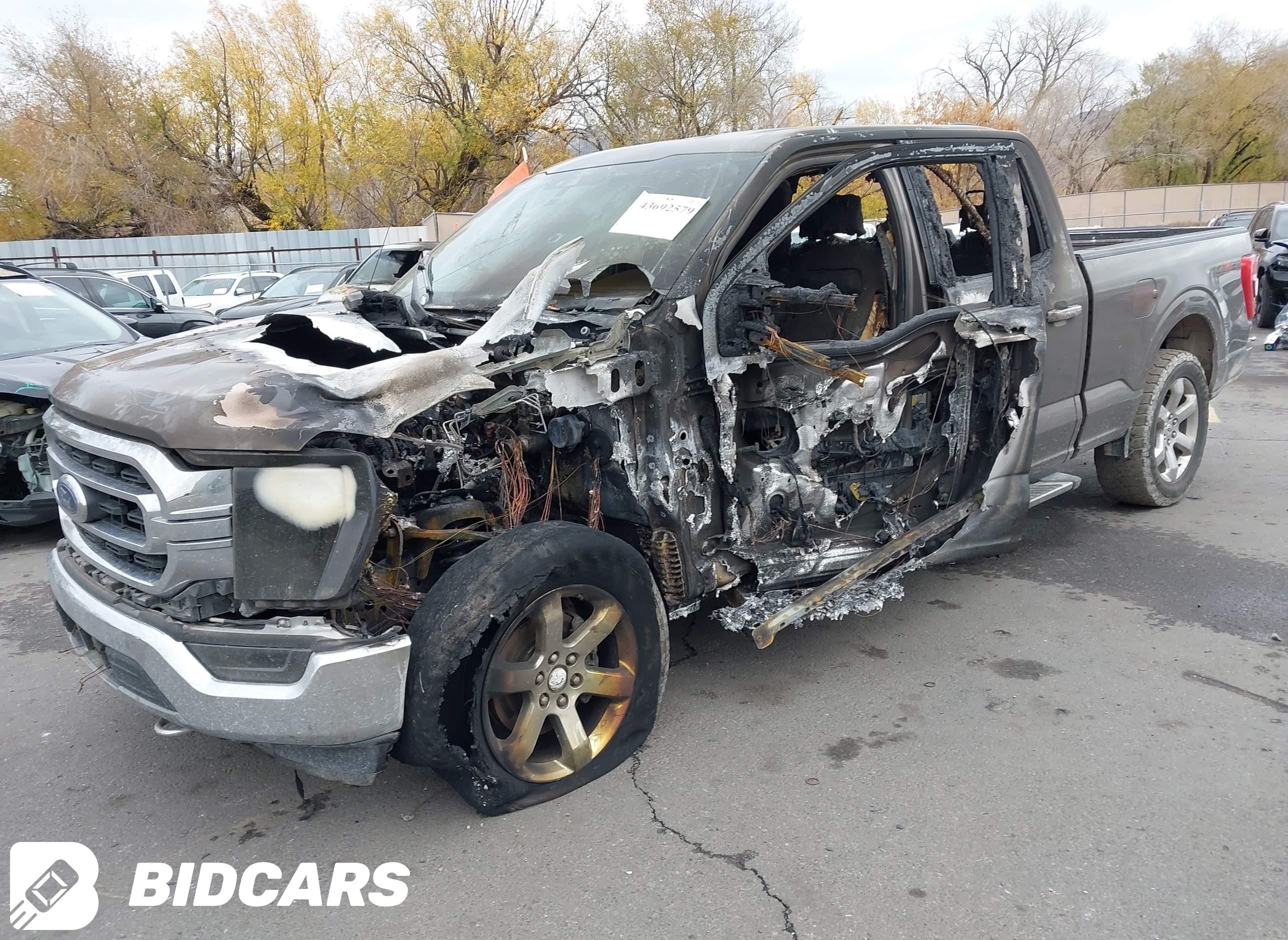 FORD F150 2021